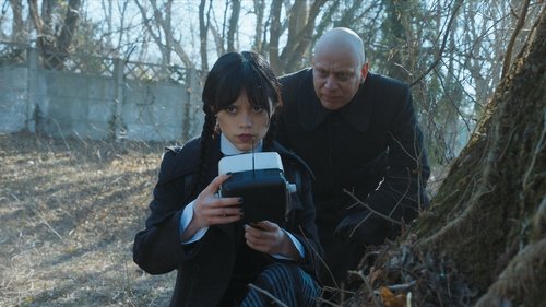 If You Don't Woe Me by Now